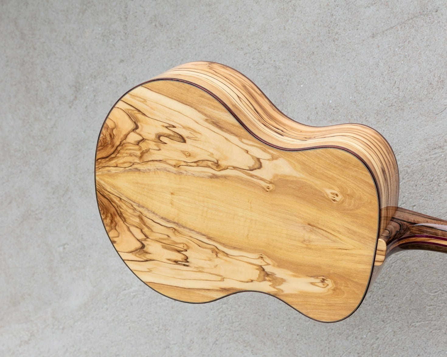 The Art and Science of Luthiery and Electronics